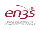 Logo EN3S